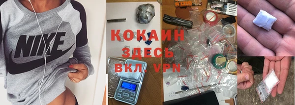 крисы Абдулино