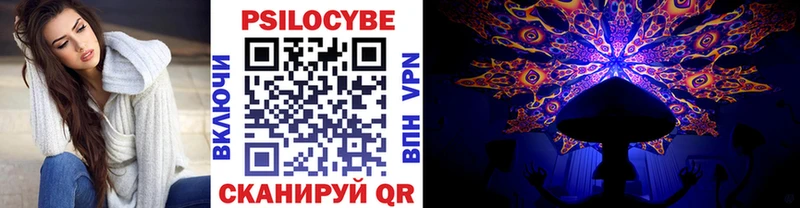 Галлюциногенные грибы прущие грибы  сколько стоит  Богданович 