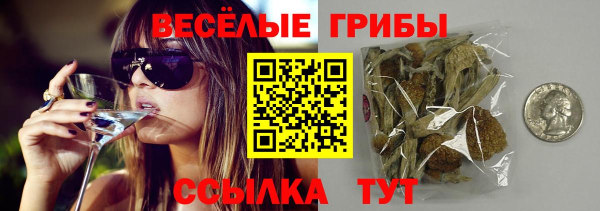 Богданович  купить наркотик  Вход с VPN  Псилоцибиновые грибы прущие грибы 